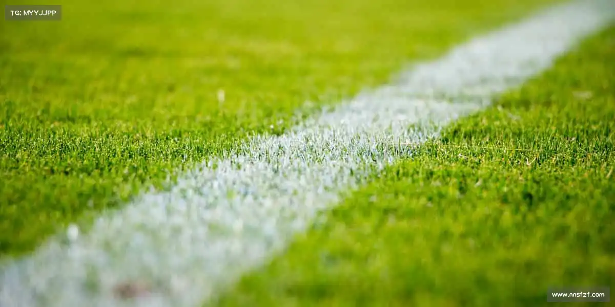 <strong>MK SPORTS</strong>🏃♂️运动不止，热爱不息 —— 你的体育主场，此刻开启！